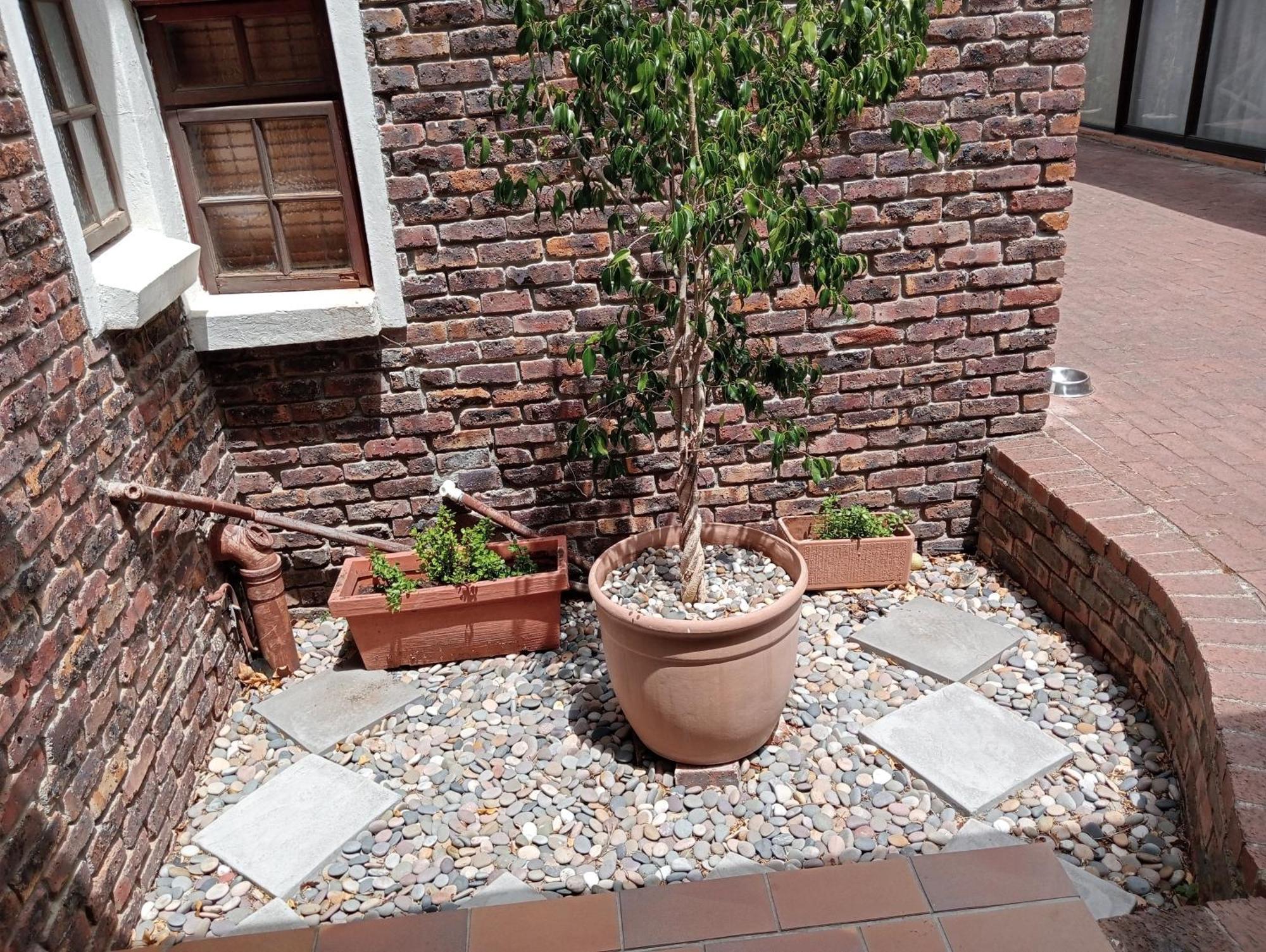 Marinda'S B&B Cape Town Bagian luar foto